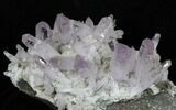 Spectacular Amethyst Crystal Cluster - Las Vigas, Mexico #31946-2